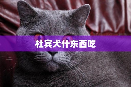 杜賓犬什東西吃