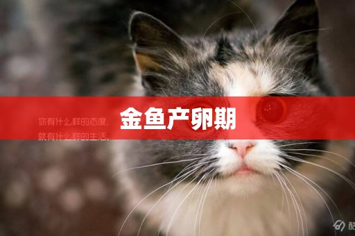 金魚產卵期