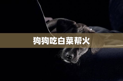 狗狗吃白菜幫火