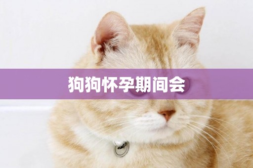 狗狗懷孕期間會