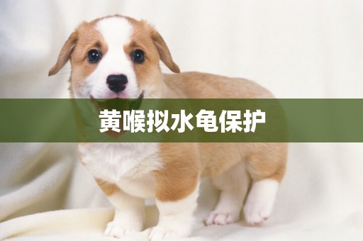 黃喉擬水龜保護