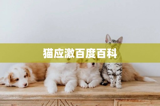 貓應激百度百科