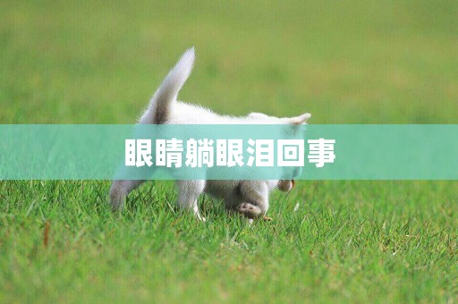 眼睛躺眼淚回事