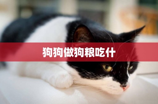 狗狗做狗糧吃什