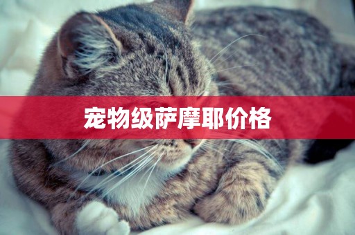 寵物級薩摩耶價格