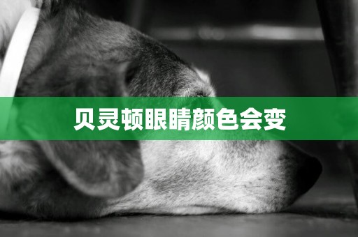 貝靈頓眼睛顏色會變