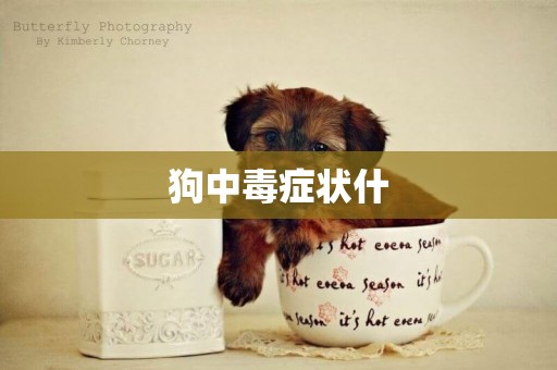 狗中毒癥狀什