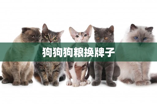 狗狗狗糧換牌子