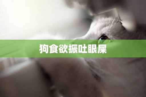 狗食欲振吐眼屎