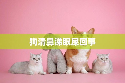 狗清鼻涕眼屎回事