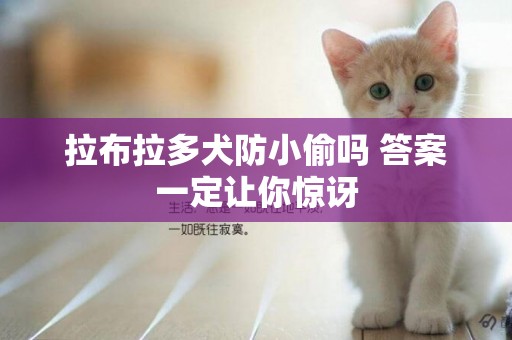 拉布拉多犬防小偷嗎 答案一定讓你驚訝