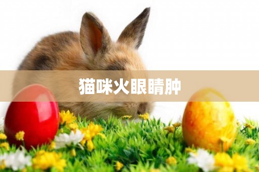 貓咪火眼睛腫