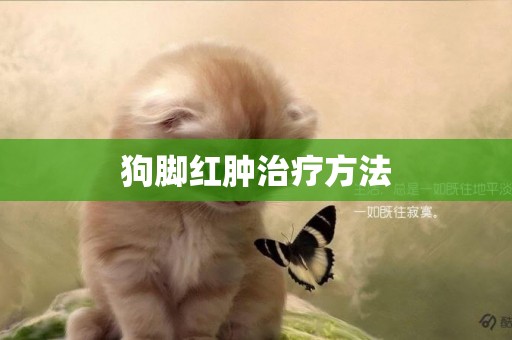 狗腳紅腫治療方法