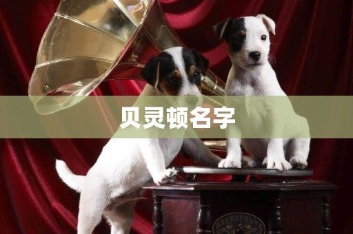 貝靈頓名字