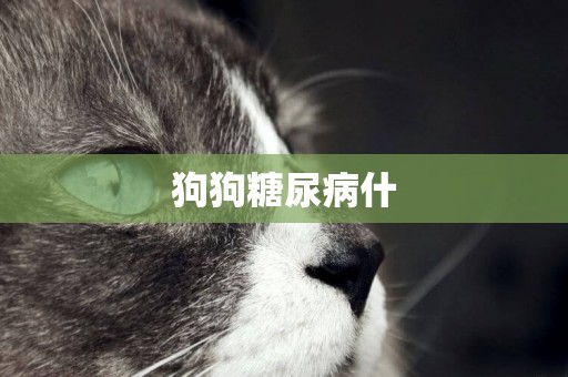 狗狗糖尿病什