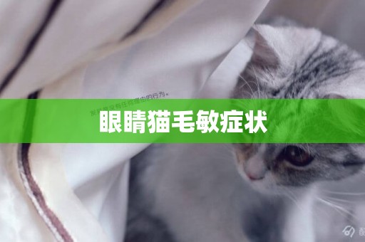 眼睛貓毛敏癥狀