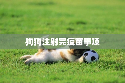 狗狗注射完疫苗事項