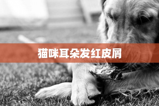 貓咪耳朵發紅皮屑