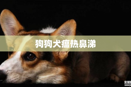 狗狗犬瘟熱鼻涕