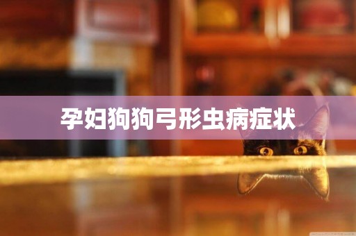 孕婦狗狗弓形蟲病癥狀