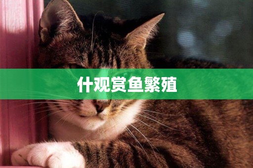 什觀賞魚繁殖