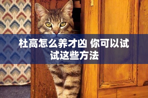 杜高怎么養才兇 你可以試試這些方法