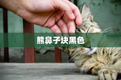 熊鼻子塊黑色