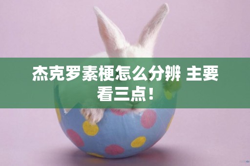 杰克羅素梗怎么分辨 主要看三點！