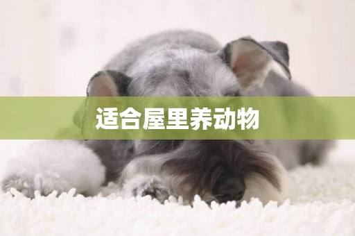 適合屋里養動物