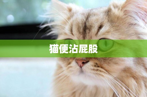 貓便沾屁股