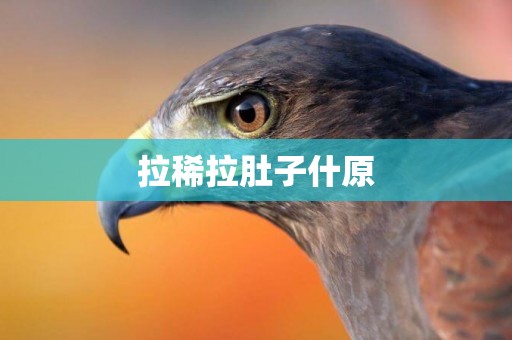 拉稀拉肚子什原