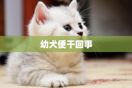 幼犬便干回事