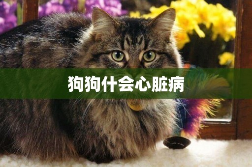 狗狗什會心臟病