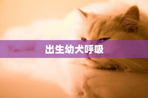出生幼犬呼吸