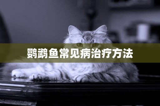 鸚鵡魚常見病治療方法