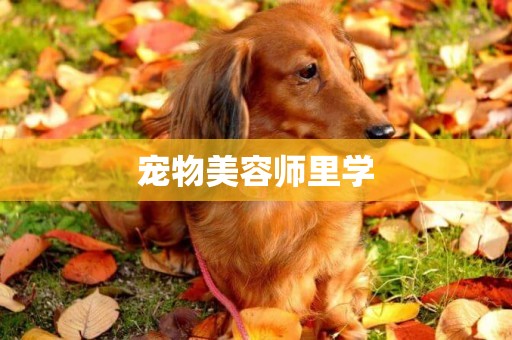 寵物美容師里學