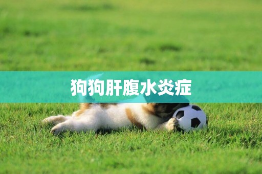 狗狗肝腹水炎癥