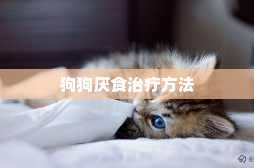 狗狗厭食治療方法