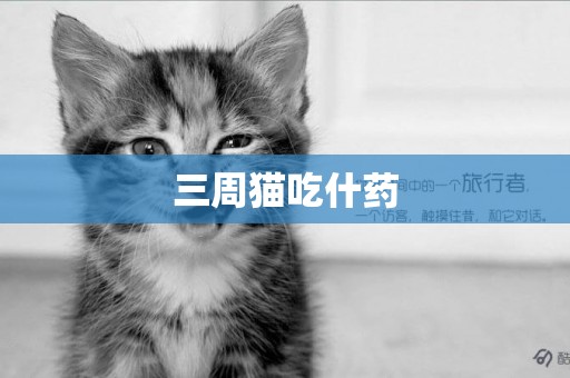 三周貓吃什藥