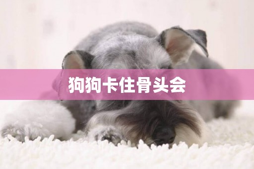 狗狗卡住骨頭會