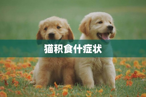 貓積食什癥狀