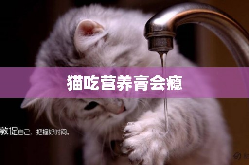 貓吃營養膏會癮