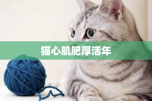 貓心肌肥厚活年