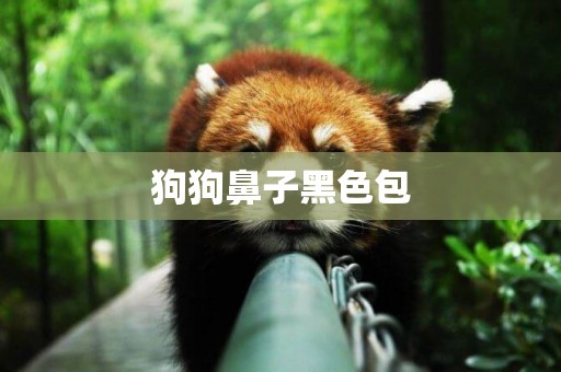 狗狗鼻子黑色包