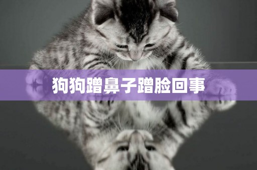 狗狗蹭鼻子蹭臉回事