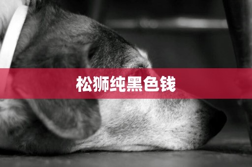松獅純黑色錢