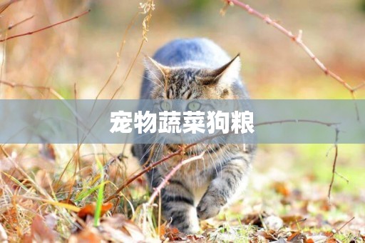 寵物蔬菜狗糧