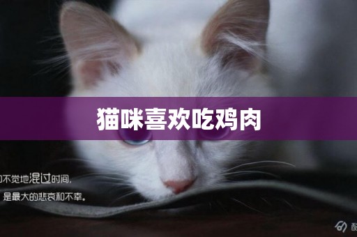 貓咪喜歡吃雞肉