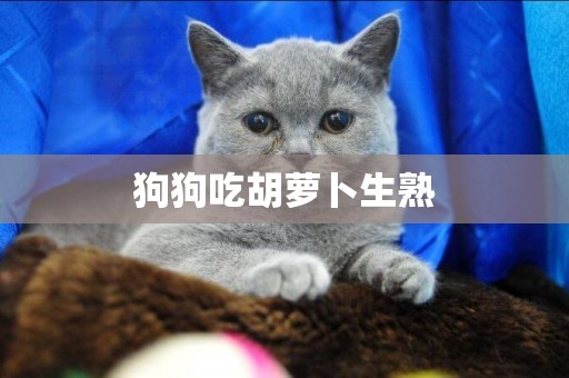 狗狗吃胡蘿卜生熟