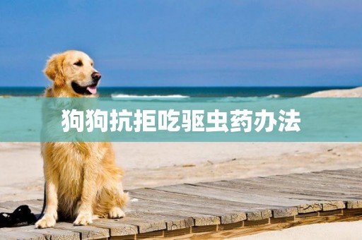 狗狗抗拒吃驅蟲藥辦法